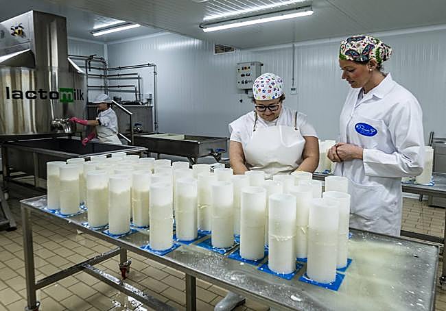 Todos los quesos de la firma -estos son rulos de oveja- se tratan de forma manual en un proceso completamente artesanal.