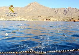 Zona en la que se han detectado las infracciones.