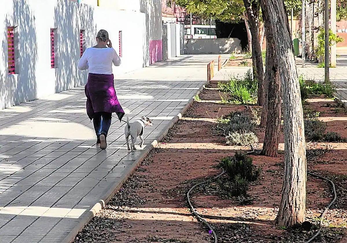 Una mujer pasea a un perro por un parque, en una imagen de archivo.