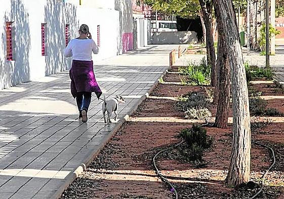 Una mujer pasea a un perro por un parque, en una imagen de archivo.