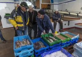 Un grupo de pescadores con cajas de calamares y camarones, entre otras especies, preparadas para la subasta que se celebró ayer por la tarde en la lonja de Cartagena.