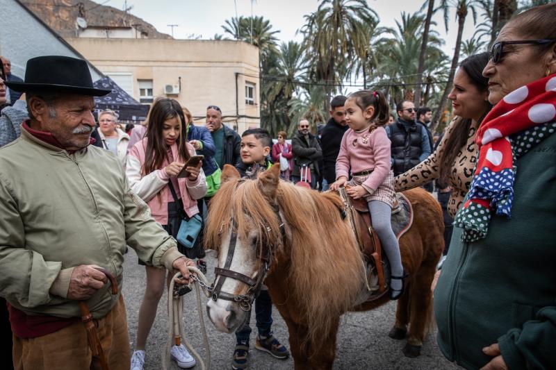 Las imágenes del día de San Antón en Orihuela