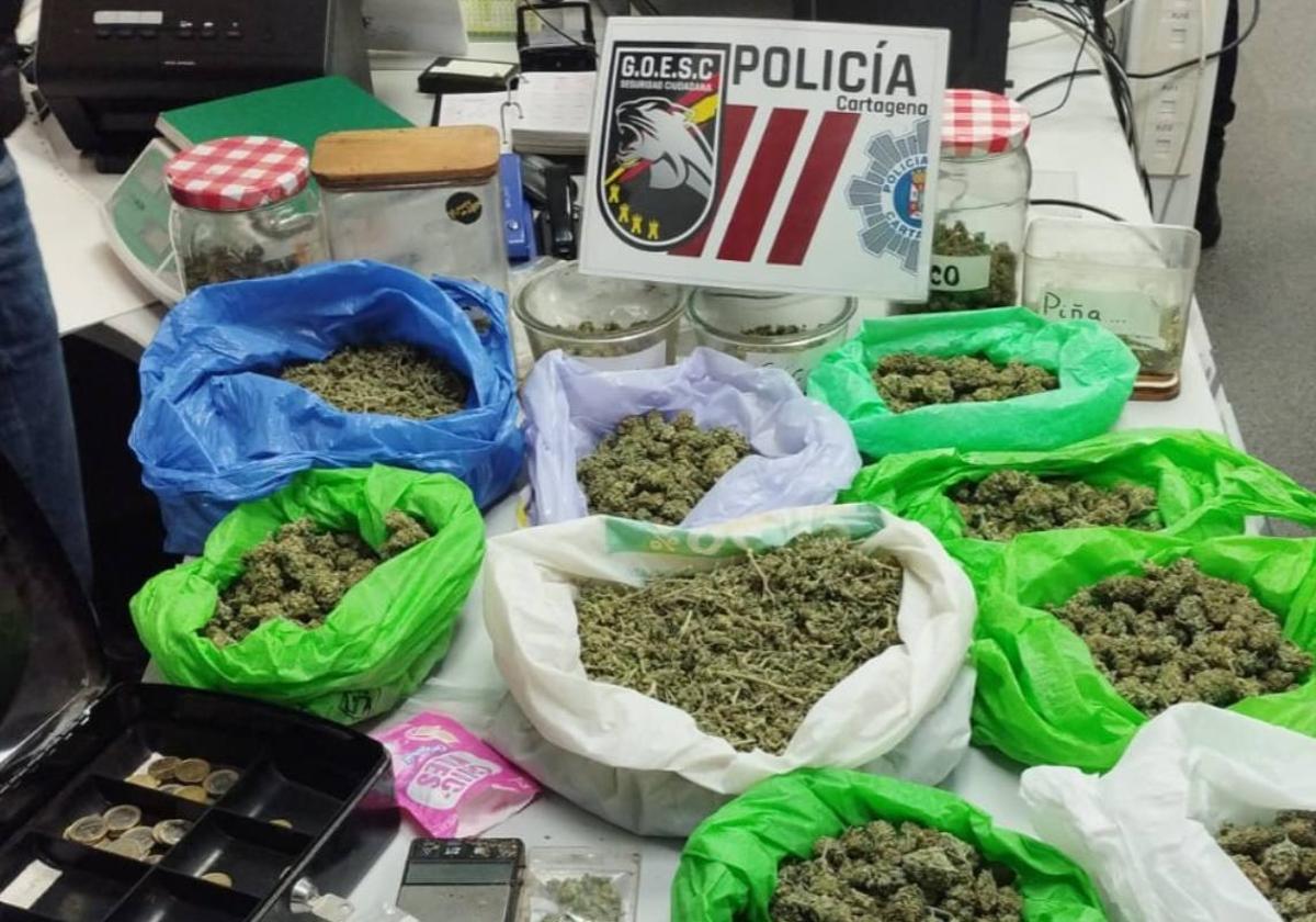 Incautan casi dos kilos de marihuana y setas alucinógenas en Cartagena