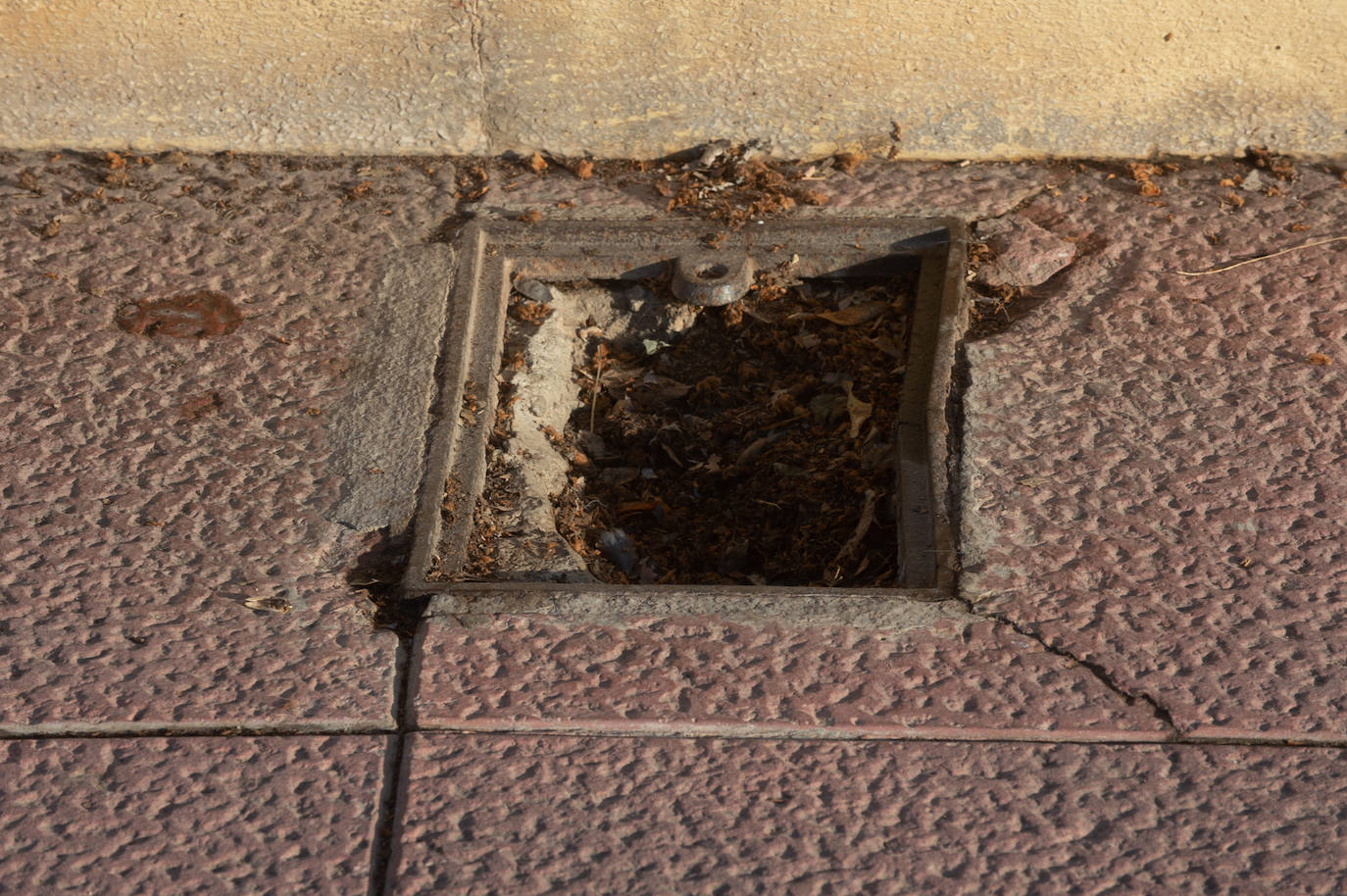 Las imágenes de las pintadas y desperfectos del Malecón de Murcia