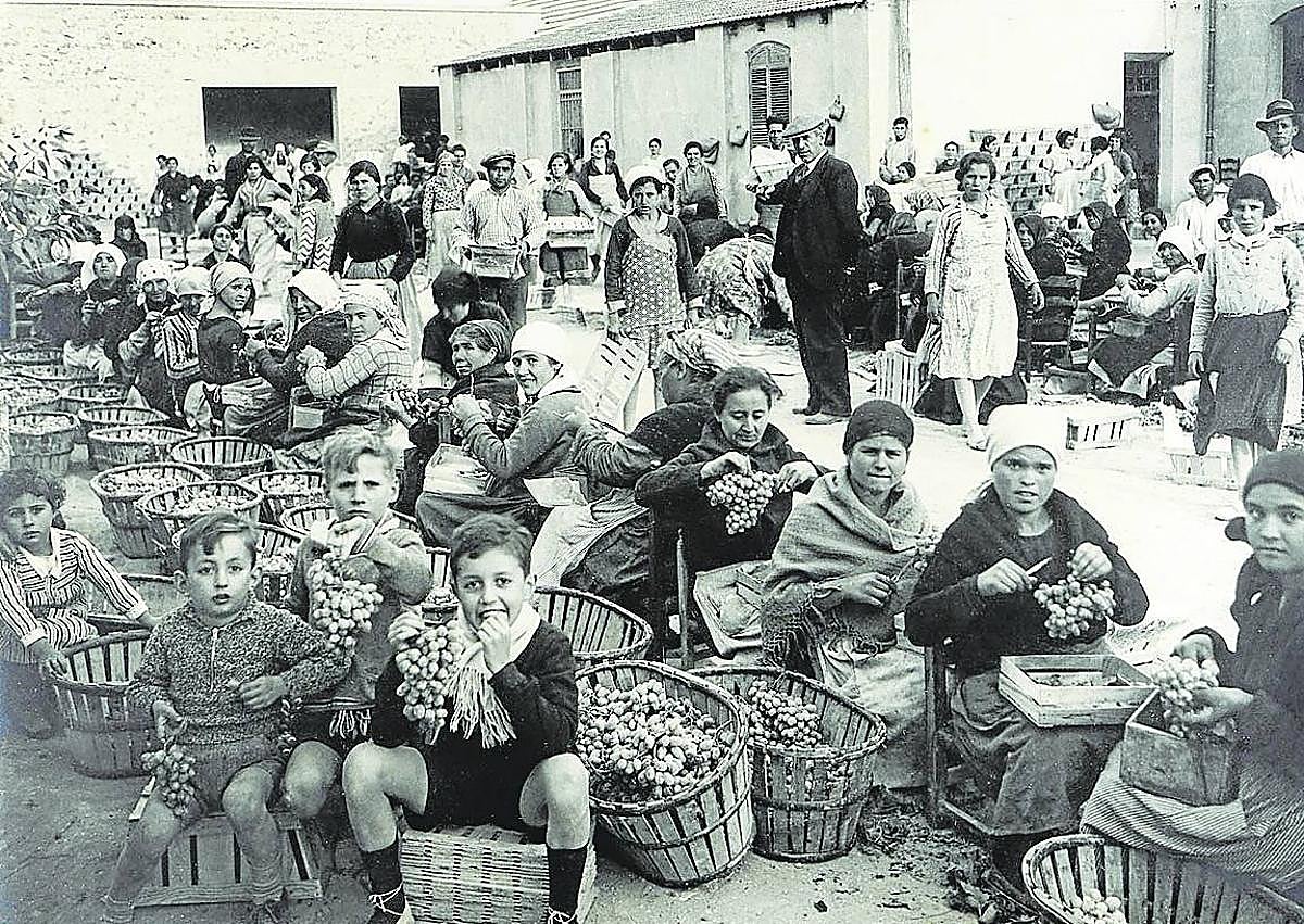 Imagen secundaria 1 - Arriba: Carlos Mateo retratando a jóvenes exploradores. Esta fotografía realizada por Eliseo Mateo en los años 20 «es una imagen muy emblemática», cuenta Vázquez Casillas sobre una imagen que ya formaba parte del Archivo General de la Región de Murcia y que muestra una parte del ocio de ese periodo. Abajo derecha: Retrato de niños disfrazados. Realizada en 1933, esta fotografía muestra la dedicación de los Mateo al retrato individual o colectivo, como es este caso. «Dentro de los ensayos colectivos dedicados a la infancia, se hacen muy comunes los retratos de hermanos, generalizándose el dúo y el trío», explica el comisario. Abajo izquierda: Imagen de la serie dedicada a la fabricación y empaquetado de la uva. Tomada en Vinalopó, Alicante, en 1929, este es un ejemplo de los reportajes de encargo privado que también asumían los Mateo. Empresas y profesionales de diferentes sectores encomendaban estos trabajos para poseer álbumes de presentación de sus productos.