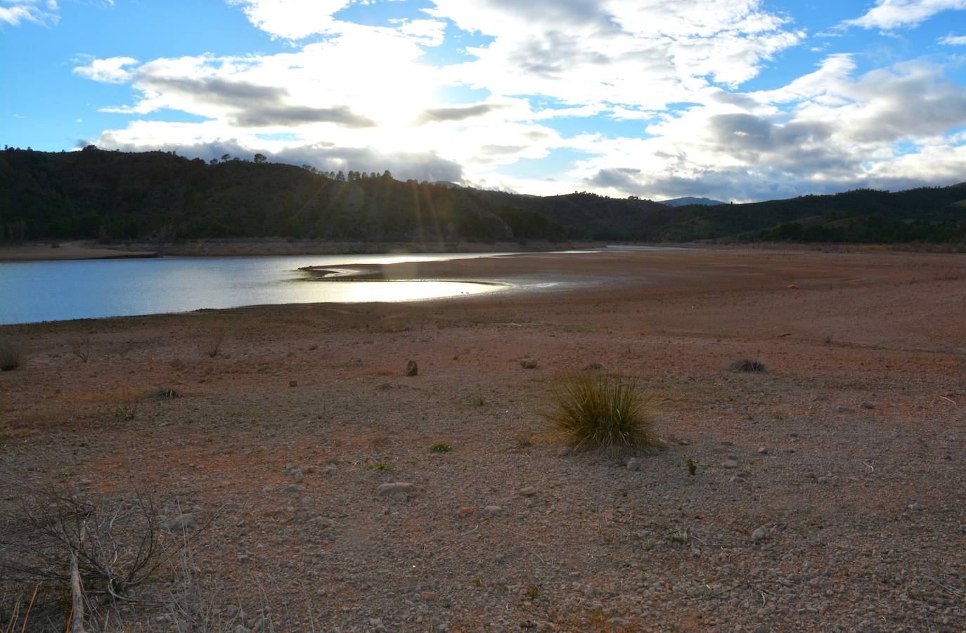 La plaga de mejillón cebra llega a los embalses del río Mundo, en imágenes