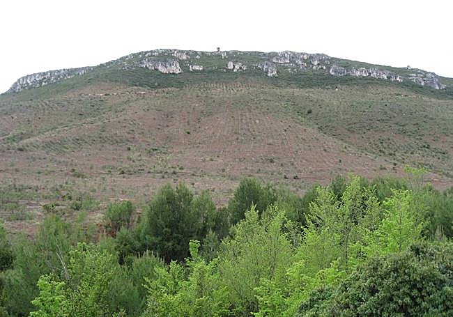 La zona tras el incendio