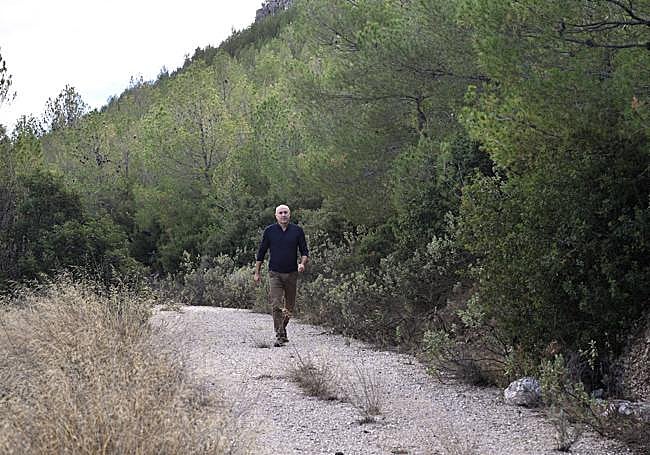 Porte de los árboles de La Silla ahora (grande).