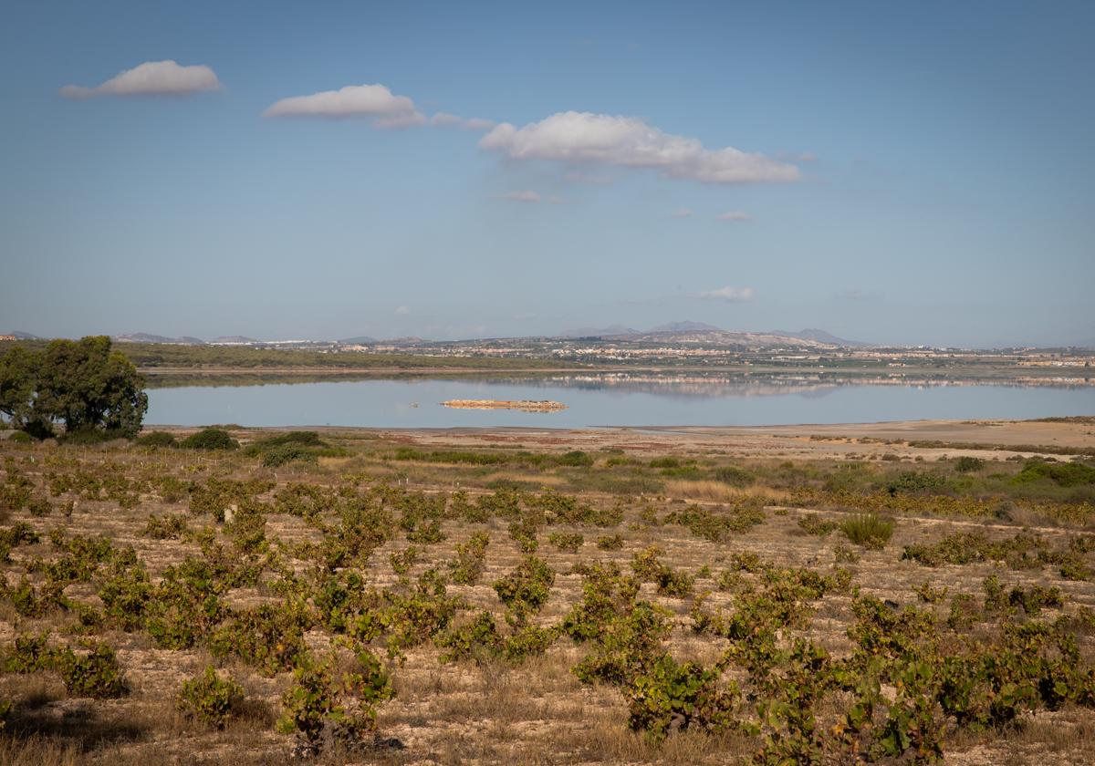 Parque natural de las lagunas de La Mata y Torrevieja en una imagen de archivo.