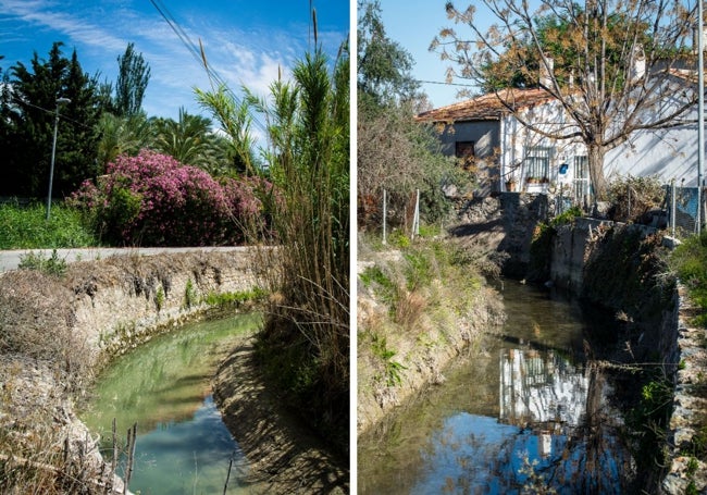 Adelfas y cañas junto al cauce en Puebla de Soto. Acequia Aljufía a su paso por La Albatalía, en 2015.