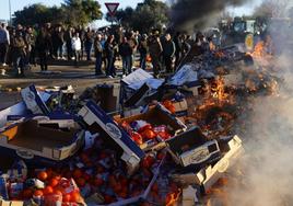 Un piquete de agricultores franceses junto a la carga saqueada y quemada de un camión español, hoy en Nimes