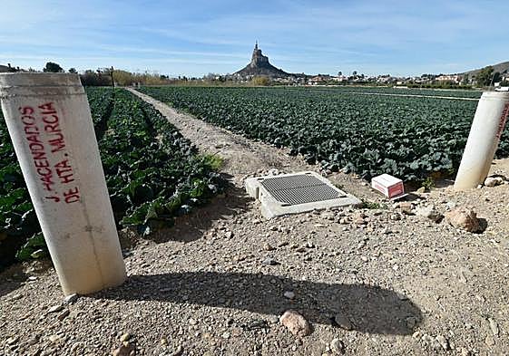Imagen del segundo tramo entubado en la landrona del Pino; el primero, que será revertido, discurre más escondido entre huertos.
