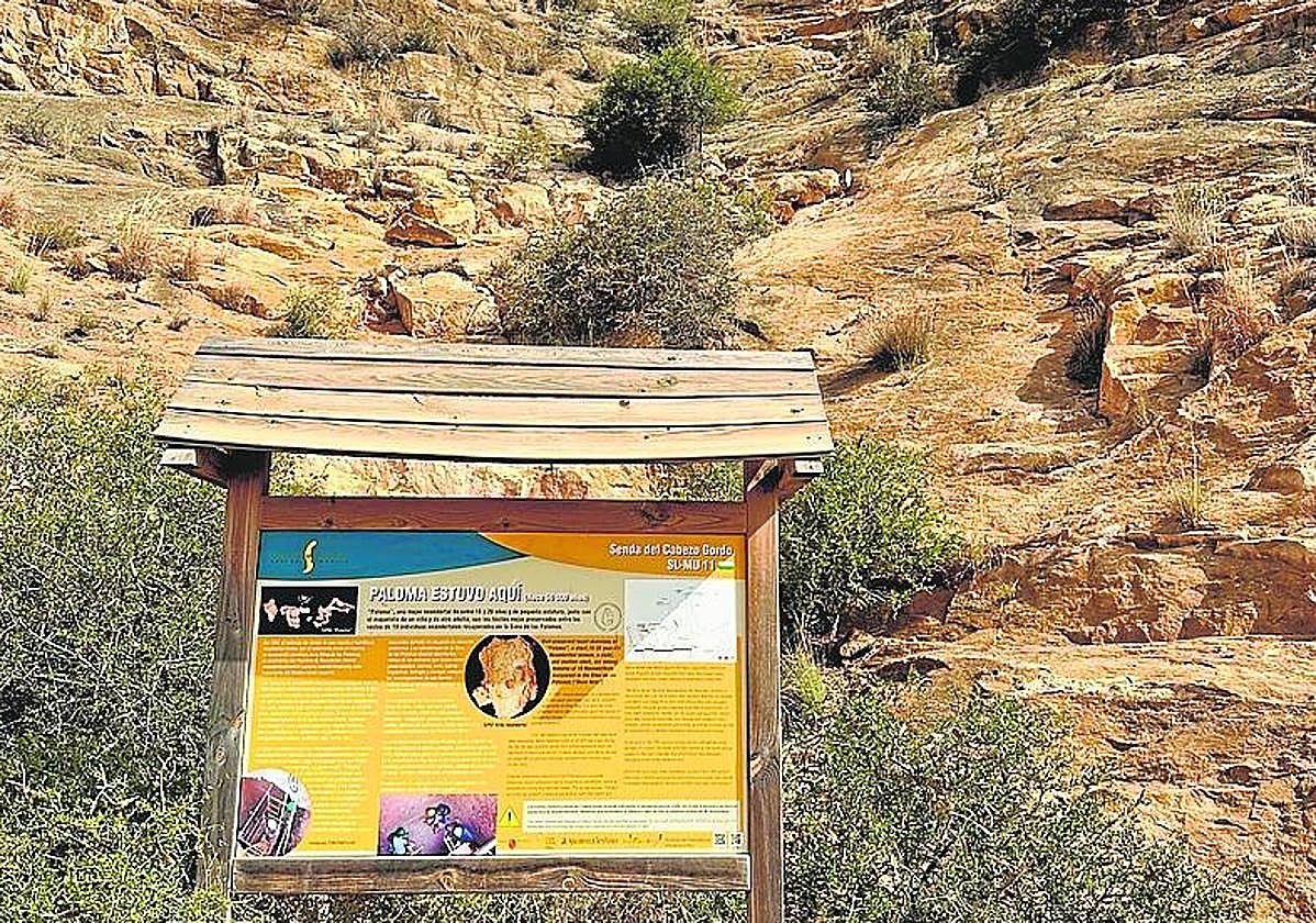 Varios visitantes recorren la Sima de las Palomas.