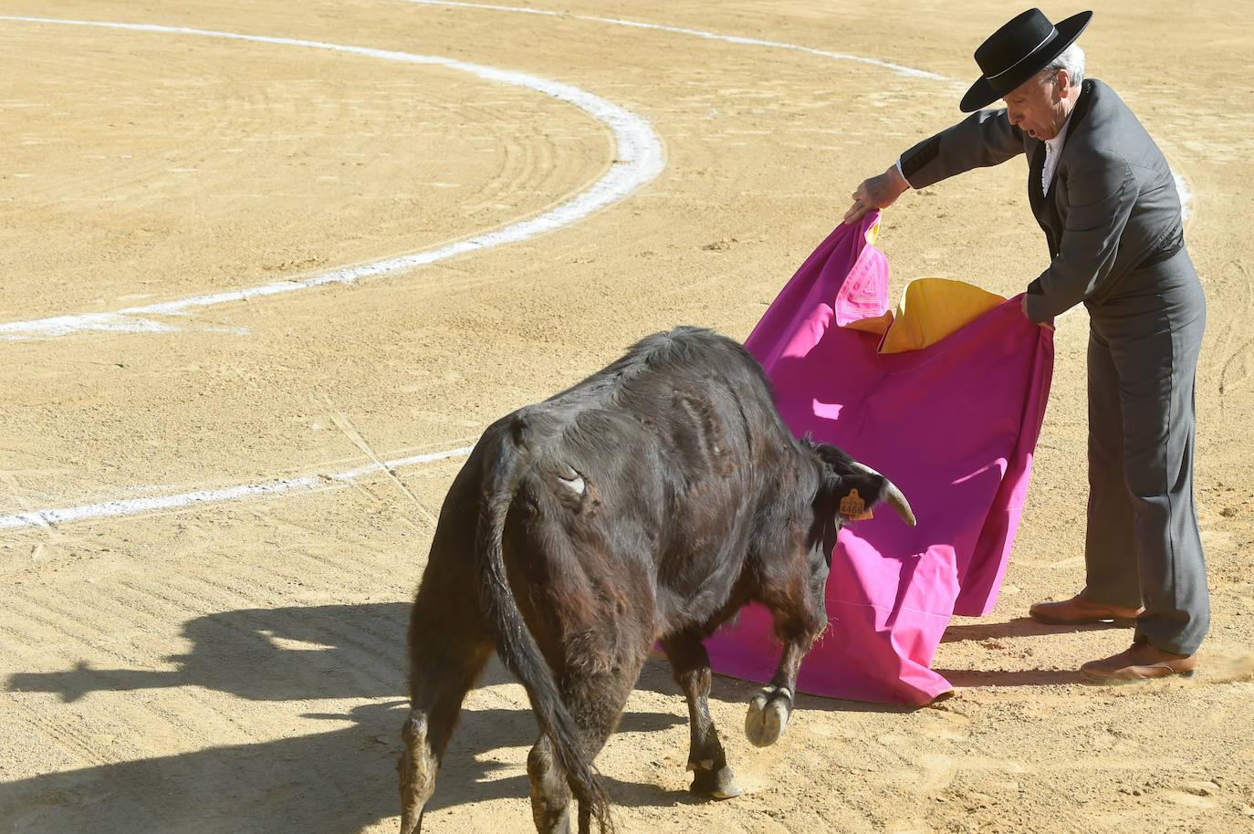Tentadero benéfico de Ortega Cano en Torre Pacheco