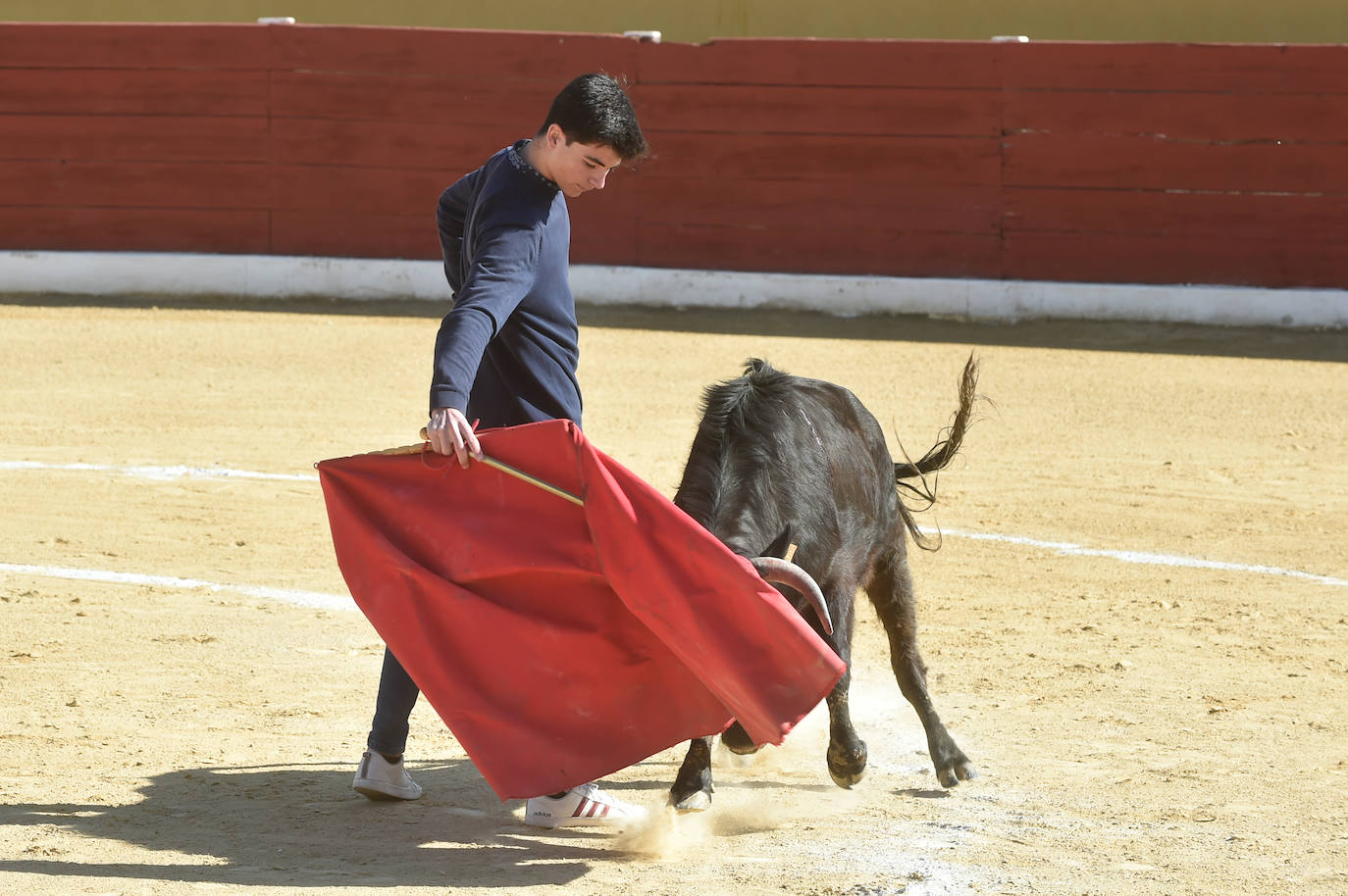 Tentadero benéfico de Ortega Cano en Torre Pacheco