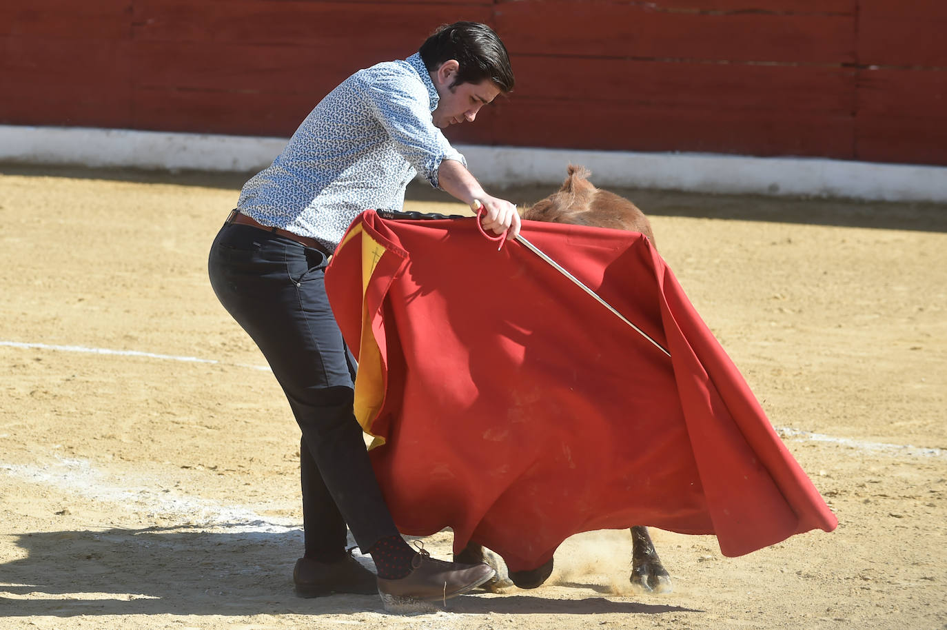Tentadero benéfico de Ortega Cano en Torre Pacheco