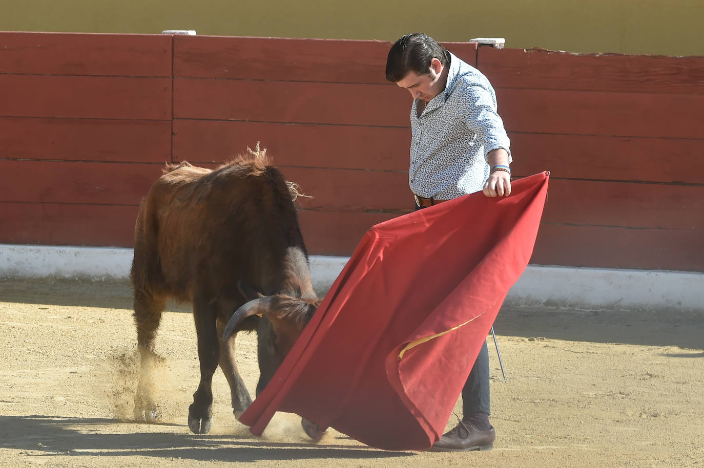 Tentadero benéfico de Ortega Cano en Torre Pacheco