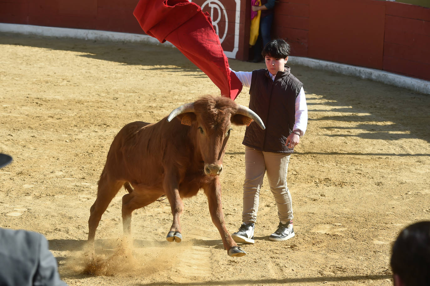Tentadero benéfico de Ortega Cano en Torre Pacheco