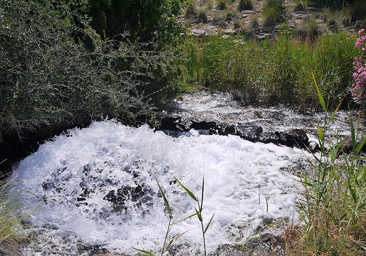 Uno de los pozos del Sinclinal de Calasparra vierta agua al río Segura, en una imagen de archivo.