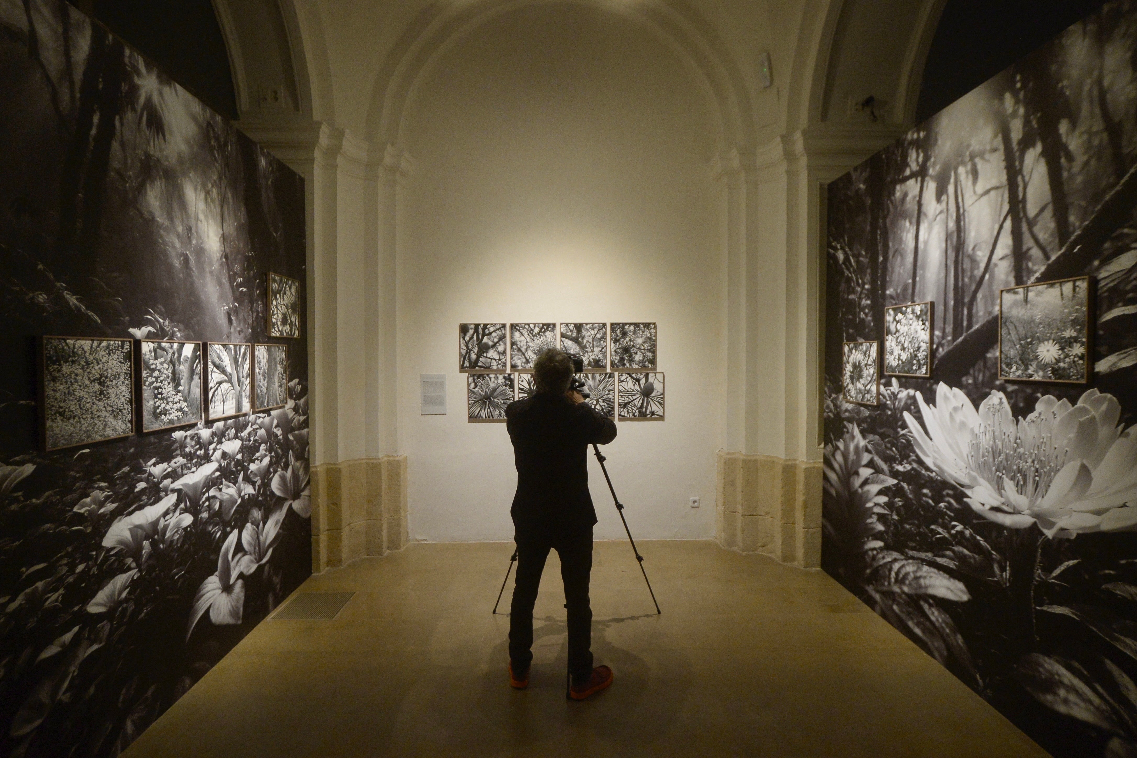 La exposición &#039;Nemotipos&#039; de Joan Fontcuberta, en imágenes