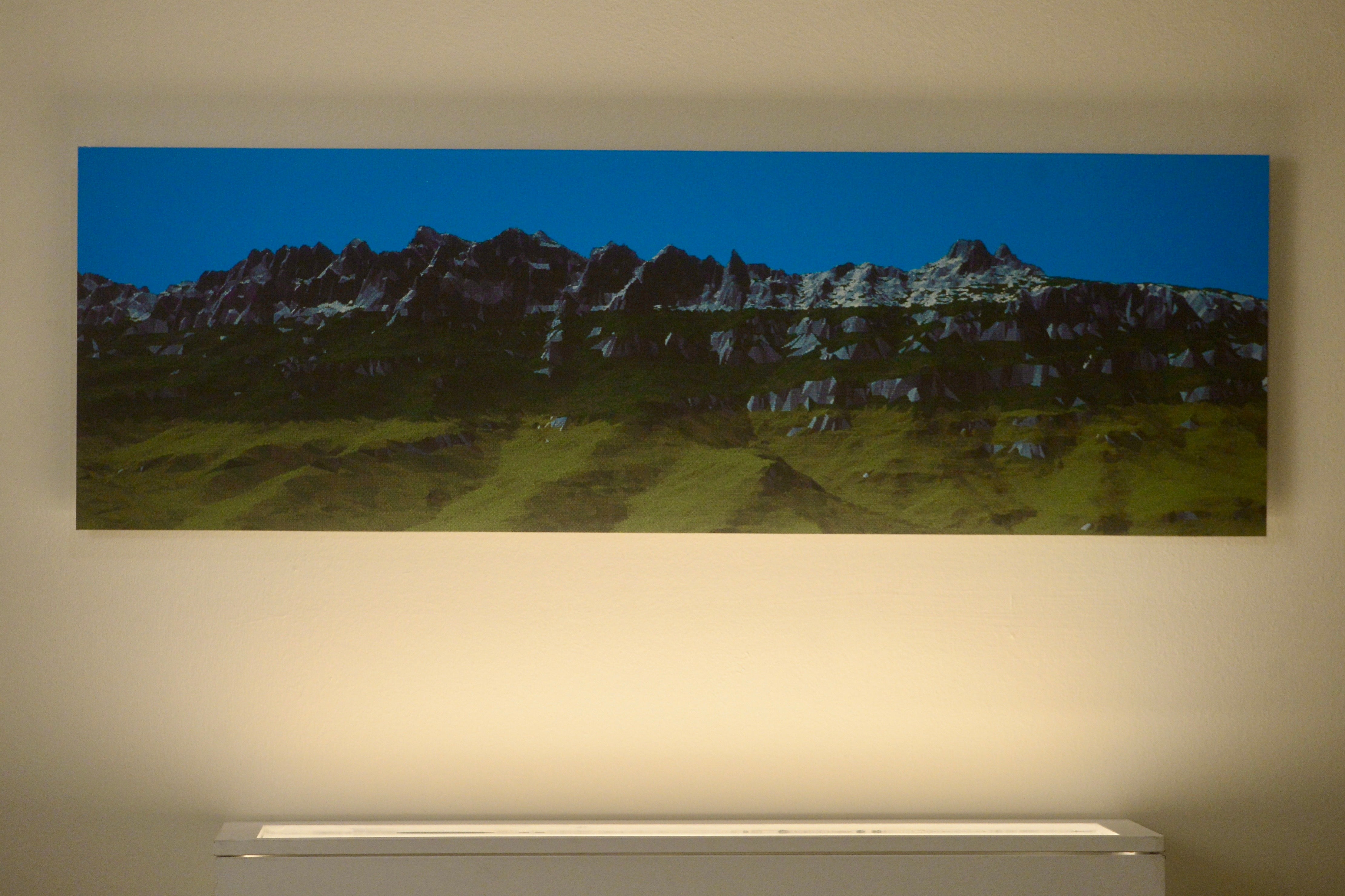 La exposición &#039;Nemotipos&#039; de Joan Fontcuberta, en imágenes