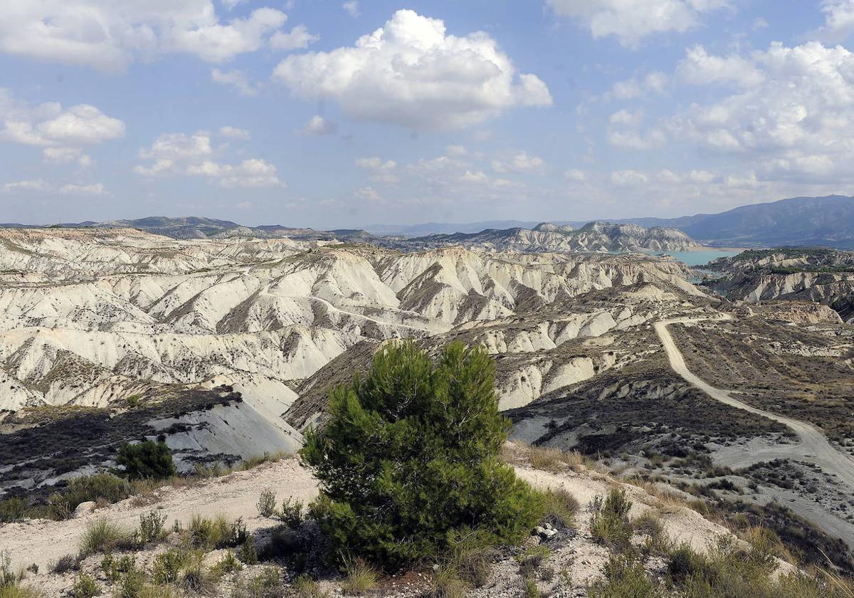 Barrancos de Gebas.