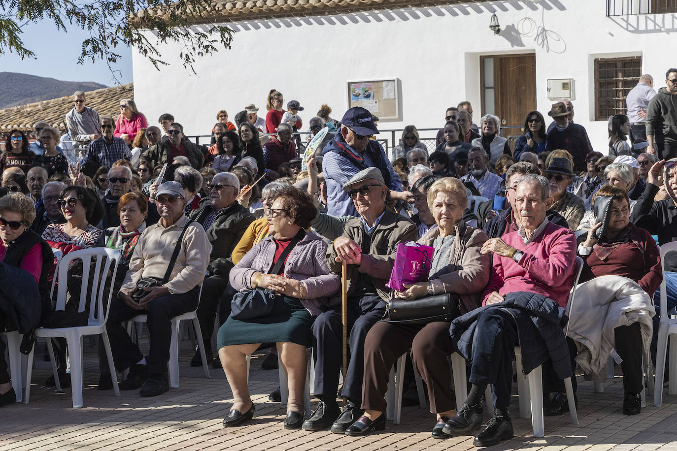 Feria de floración &#039;Cartagena oeste en flor&#039;, en imágenes