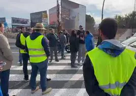 Un conductor discute con los manifestantes que se encontraban cortando el paso en la rotonda de Ronda Sur, en Murcia.