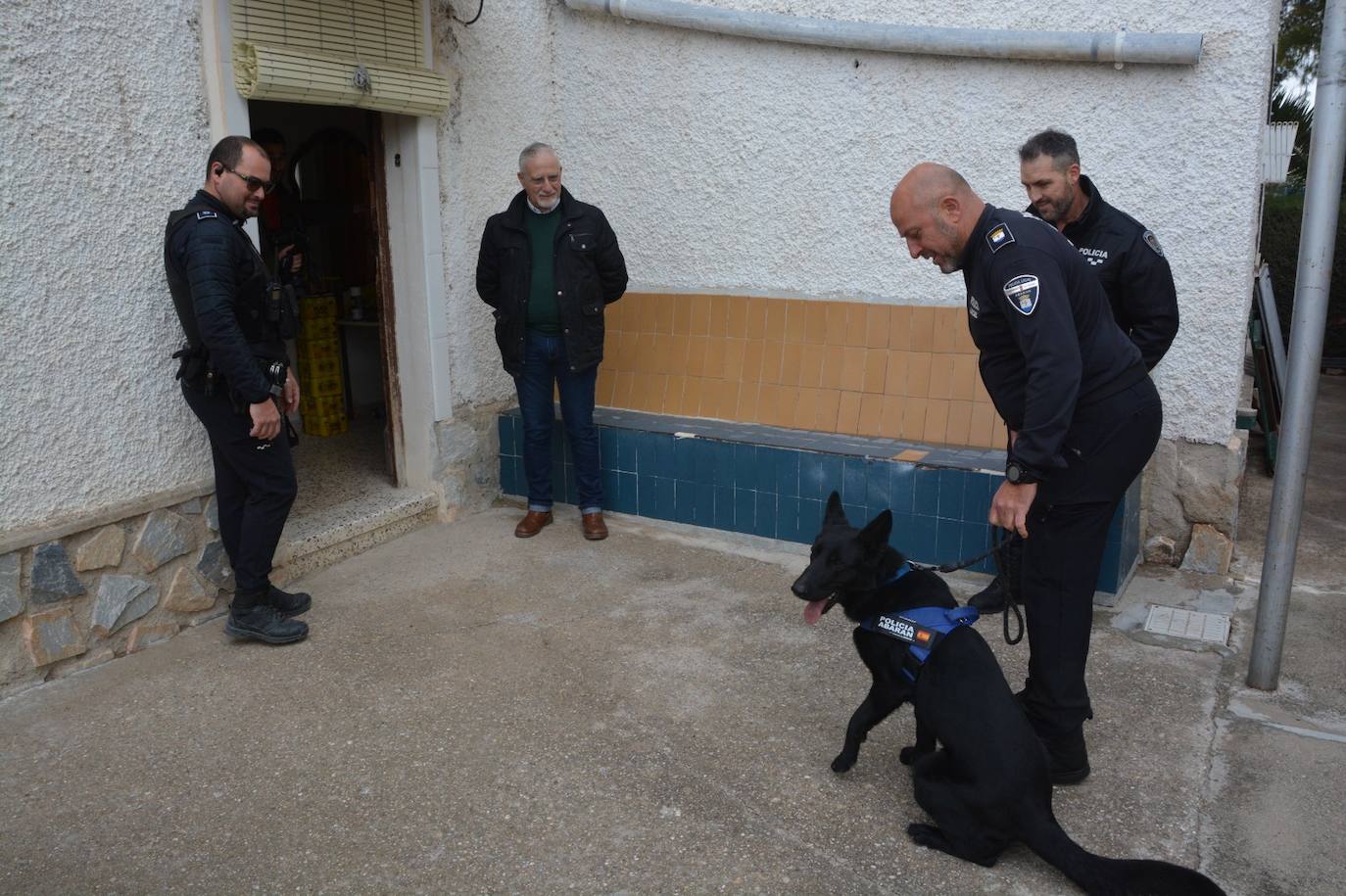 Entrenamiento de las unidades caninas de la Región en Cieza, en imágenes