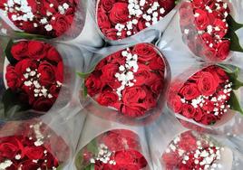 Ramos de rosas por San Valentín.