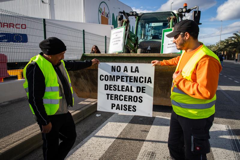 La tractorada de los organizaciones agrarias por la Vega Baja no logra cortar la A-7