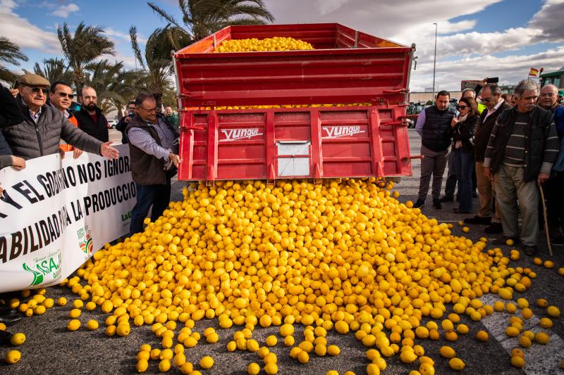 La tractorada de los organizaciones agrarias por la Vega Baja no logra cortar la A-7