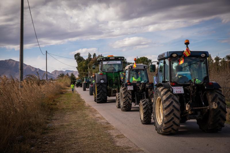 La tractorada de los organizaciones agrarias por la Vega Baja no logra cortar la A-7