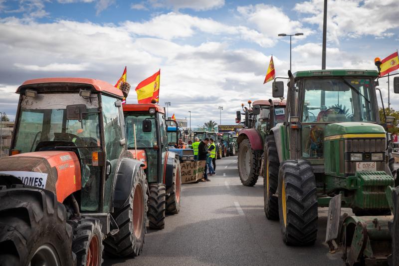 La tractorada de los organizaciones agrarias por la Vega Baja no logra cortar la A-7