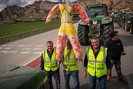 La tractorada de los organizaciones agrarias por la Vega Baja no logra cortar la A-7