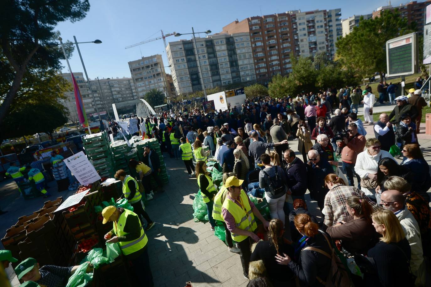 Las protestas de los agricultores llegan a Murcia el 21-F, en imágenes