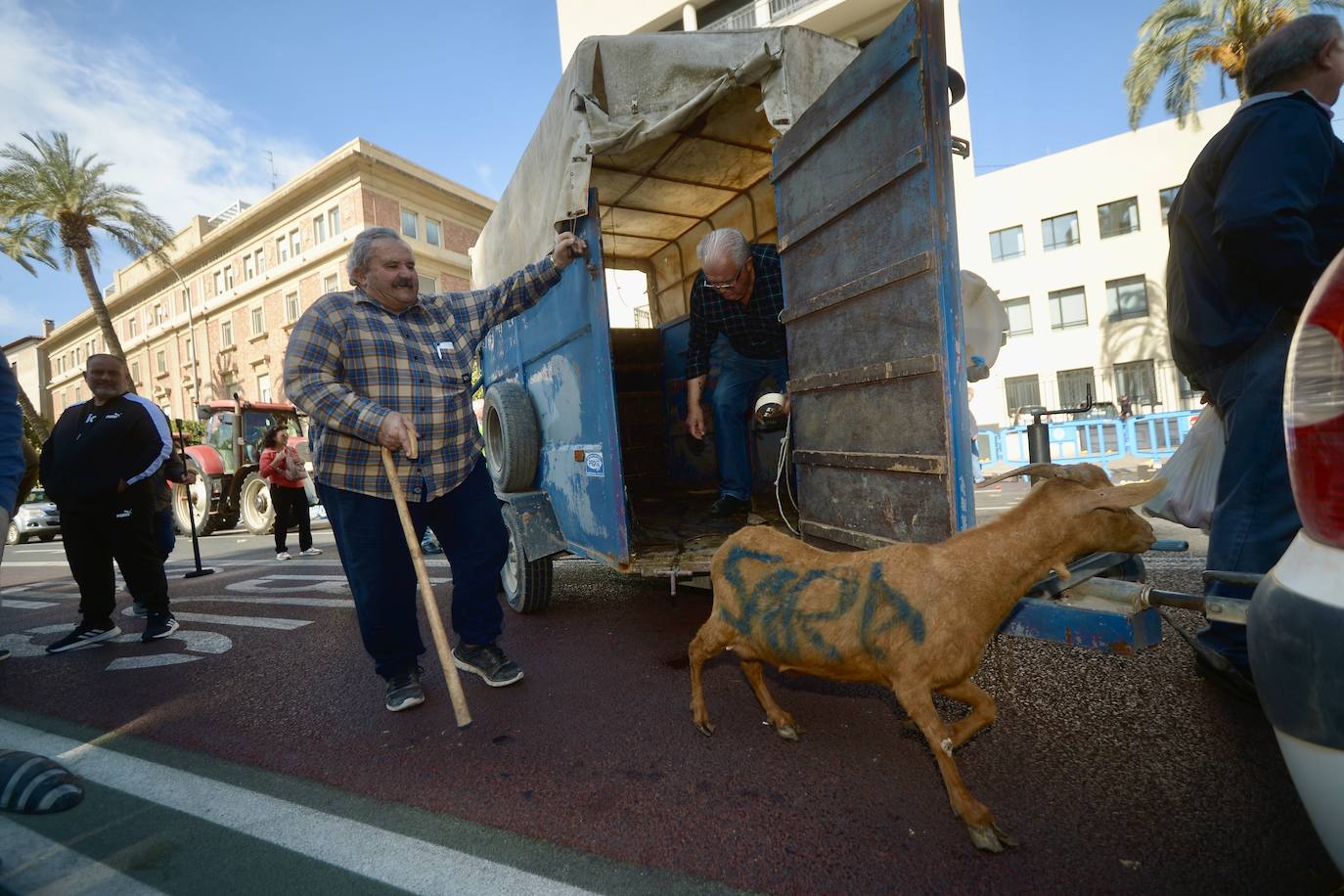 Las protestas de los agricultores llegan a Murcia el 21-F, en imágenes