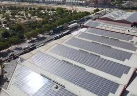 Instalación fotovoltaica de la fábrica de Estrella de Levante, en Espinardo.