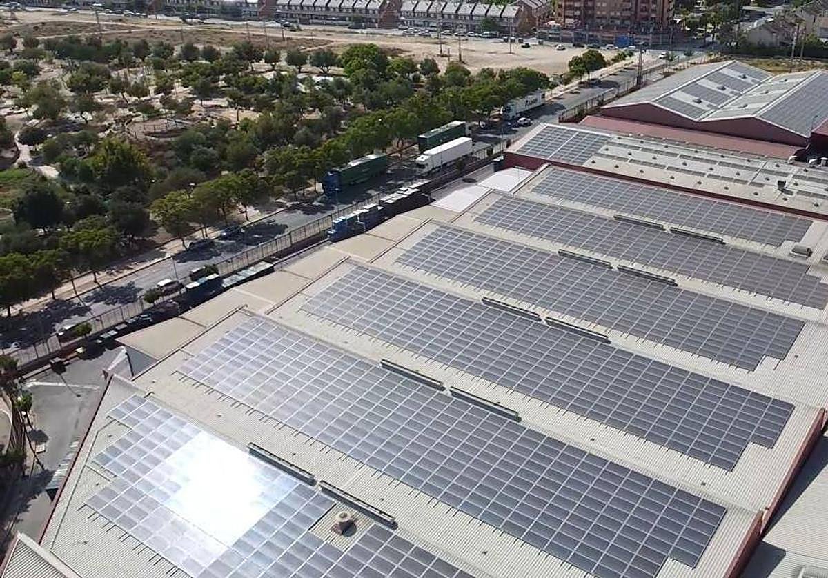 Instalación fotovoltaica de la fábrica de Estrella de Levante, en Espinardo.