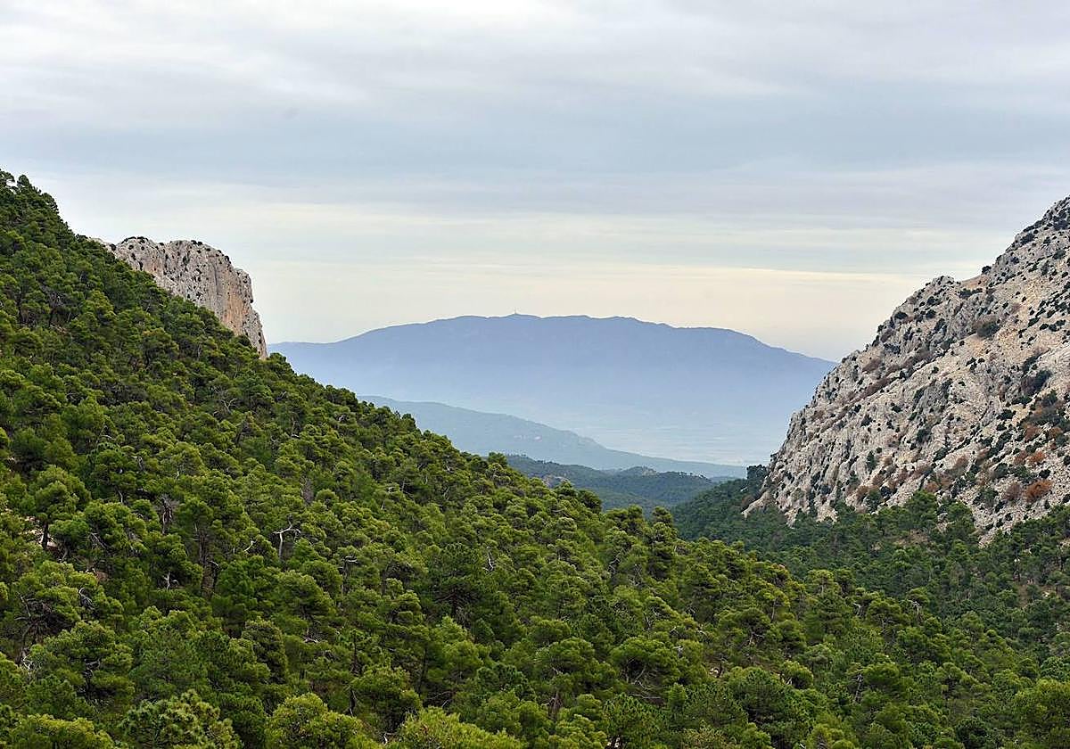 Paisaje de Sierra Espuña en una imagen de archivo.
