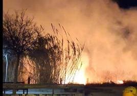 Un incendio de cañas alarma a los vecinos del barrio del Carmen de Murcia