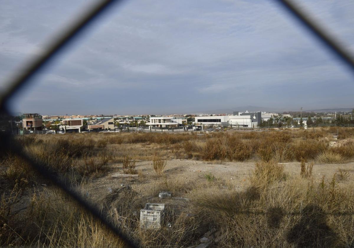 La promotora tricenter albamur se queda con dos fincas municipales en murcia para viviendas en montevida | la verdad