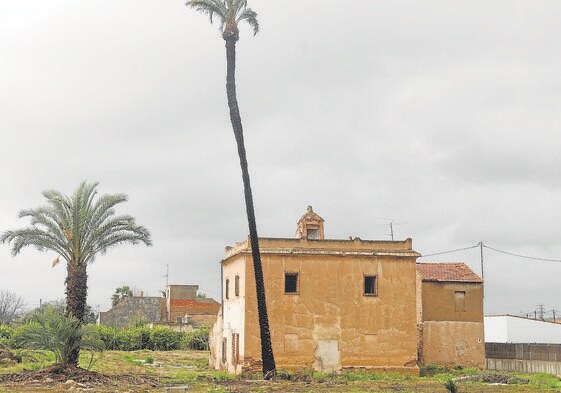 Casa Torre de los Castaños, en la pedanía murciana de La Albatalía, rodeada de palmeras.