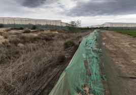 Finca agrícola junto a una rambla en Torre Pacheco.