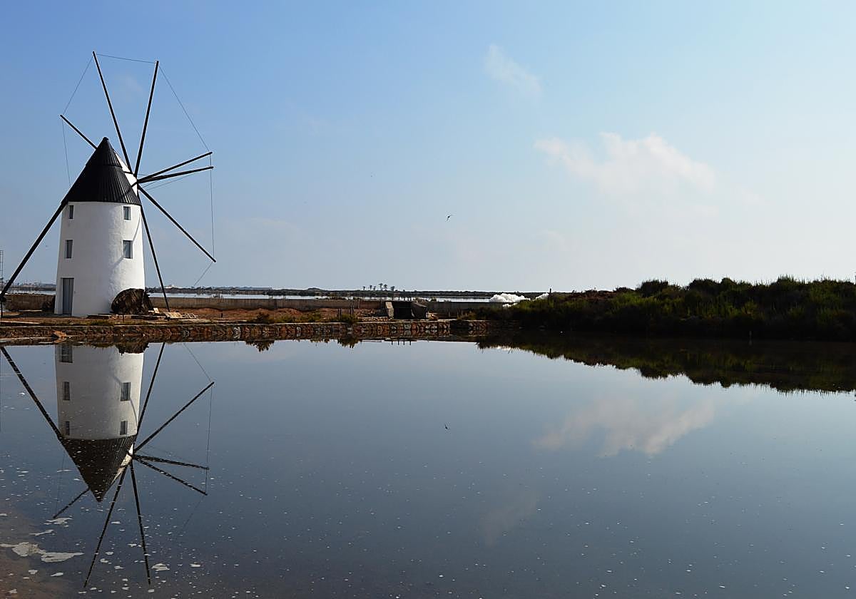 'Caminando entre Molinos Salineros', en San Pedro del Pinatar, es uno de los 15 senderos distinguidos.