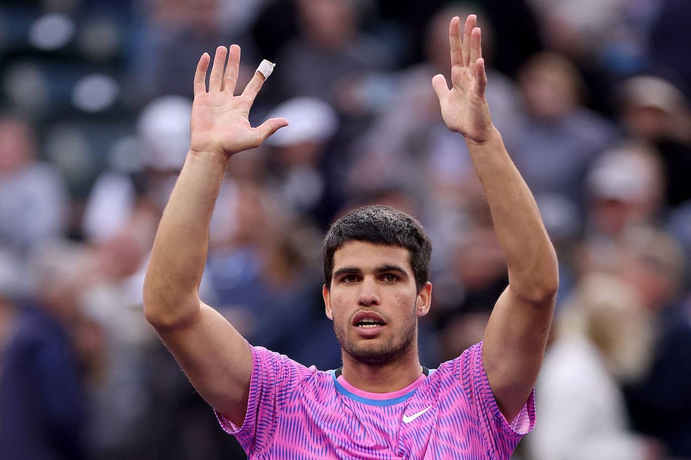 La victoria de Carlos Alcaraz ante Zverev tras la invasión de abejas en Indian Wells, en imágenes