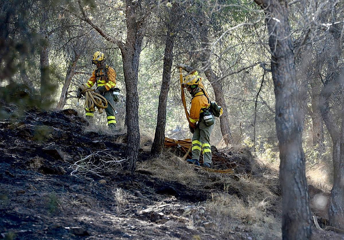 Bomberos trabajando este viernes en una zona de El Valle calcinada por un conato de incendio.