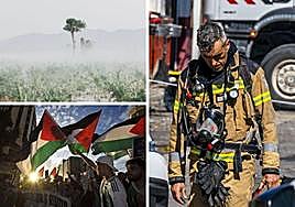 La niebla cubre los cultivos de sandía afectada por la granizada en Lorca. Manifestación en apoyo a la población civil palestina en la Gran Vía de Murcia. Un bombero camina abatido durante la extinción del incendio en Atalayas.