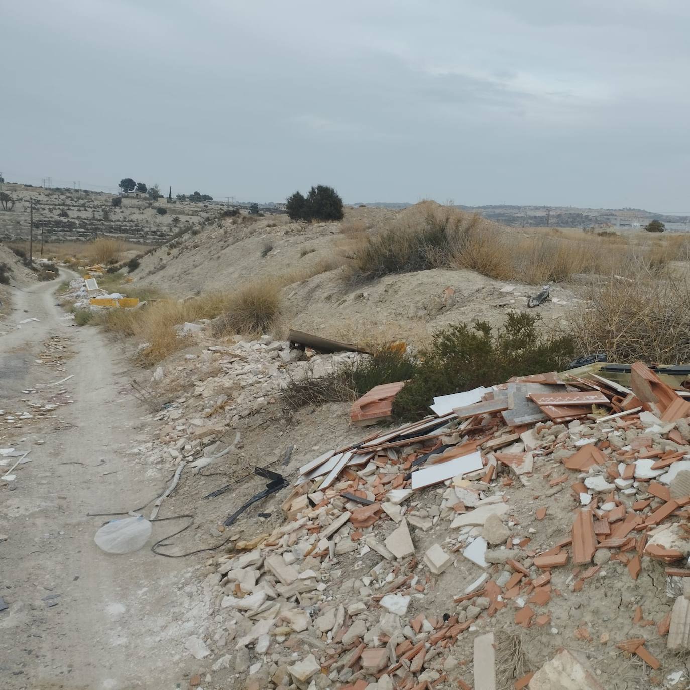 Imagen principal -  Un vertedero incontroladocamino situado cerca del polígono industrial El Tapiado