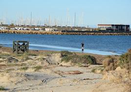 Una mujer disfruta de la playa de la Llana, frente a una zona de dunas.